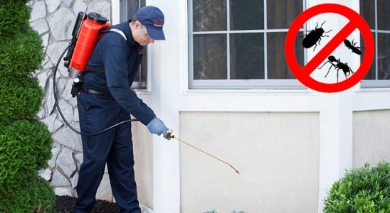 Dikmen Hamam Böceği İlaçlama böcek ilaçlama ve haşere kontrolü — ilaclama-tr.com